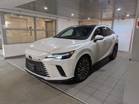 2023 Lexus RX 350h-0
