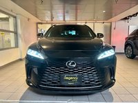 2024 Lexus RX 350h Ultra Luxury-1