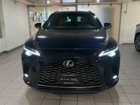 2024 Lexus RX350h Luxury Package RX 350h-1