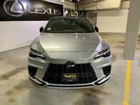2023 Lexus RX 500H F SPORT 2-1