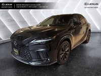 2024 Lexus RX 500h-0