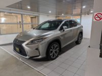 2018 Lexus RX350 LUXURY PACKAGE RX 350-0