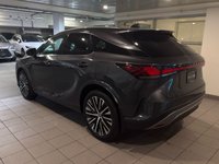 2024 Lexus Rx350 Luxury LA-3