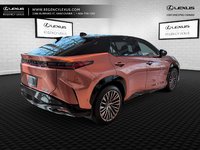 2025 Lexus RZ EXECUTIVE-7