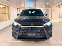 2024 Lexus TX 350-1