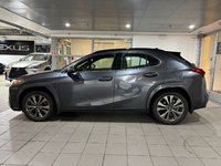 2023 Lexus UX 250h AWD UX 250h-2