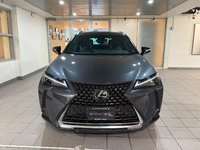 2024 Lexus UX 250h AWD Luxury Pacakge-1
