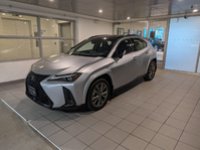 2024 Lexus UX 250h AWD F Sport 2-0