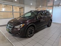 2013 Subaru XV CrosstrekPremium-0
