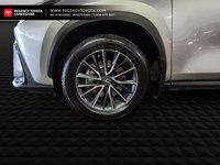 2022 Lexus NX 350h-1