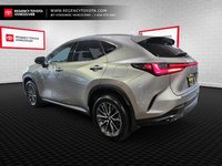 2022 Lexus NX 350h-3