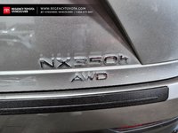2022 Lexus NX 350h-5