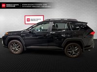 2025 Toyota RAV4 Trail AWD J1RFVT-2
