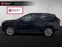 2025 Toyota RAV4 XLE AWD XLE-3