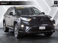 2019 Toyota RAV4 XLE-7