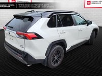 2020 Toyota RAV4 Hybrid XLE-2