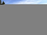 2024 Volkswagen Tiguan Comfortline 2.0T 8sp at w/Tip 4M-3