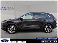 2020 Ford Escape SEL-4