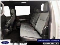 2025 Ford F-150 Lightning Lariat-7