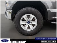 2016 Ford F-150 XLT-4