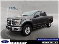 2016 Ford F-150 XLT-0