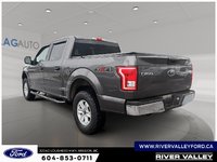 2016 Ford F-150 XLT-3