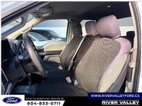 2019 Ford F-150 XLT-6