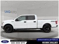 2020 Ford F-150 XLT-4