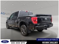 2022 Ford F-150 XLT-3