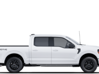2025 Ford F-150 XLT-4