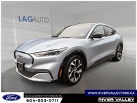 2022 Ford Mustang Mach-E Premium-0