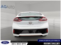 2019 Hyundai Ioniq Electric Base-2