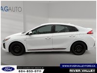 2019 Hyundai Ioniq Electric Base-4