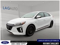2019 Hyundai Ioniq Electric Base-0