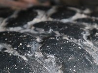 2020 Ford F-150 XLT IN GREY EQUIPPED WITH A 2.7L ECOBBOST V6 , 4X4 , 10SPD AUTO , CRUISE , BACKUP CAM , HD SHOCKS , PWR DRIVER SEAT , REMOTE STA-5