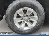 2023 Chevrolet Silverado 1500 LT-5