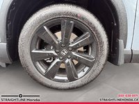 2025 Honda Pilot BLACK EDITION-6