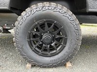 2026 Cherokee CKT16BHSW Wolf pup-4