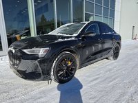 2022 Audi e-tron Sportback Technik 55 Sportback Black Optics Package-0