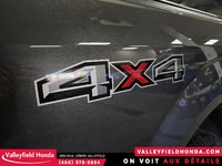 2020 Ford F-150 XL 4x4-6