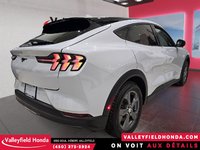 Ford Mustang Mach-E Select FORD CO-PILOT 360 2022-5