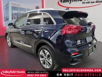 2020 Kia Niro EV SX Touring-7
