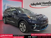 2020 Kia Niro EV SX Touring-2