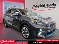 2021 Kia Niro EV SX TOURING-2