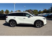 2024 Infiniti QX60 LUXE-7