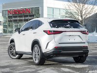 2022 Lexus NX 350H-5