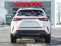 2022 Lexus NX 350H-6