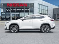 2024 Lexus NX LUXURY PKG 350h-3