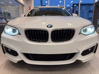 BMW 2 Series 230i xDrive 2018-4