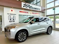 2021 Hyundai Santa Fe Ultimate Calligraphy-2
